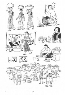 Water and Sanitation